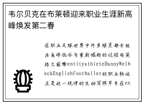 韦尔贝克在布莱顿迎来职业生涯新高峰焕发第二春